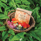 Tender Leaf Toys - My Botanical Press - 8.3 x 8.3 Inch 10 Layers Flower Press, DIY Dried and Preserved Flowers and Leaves, Plants Art & Crafts kit