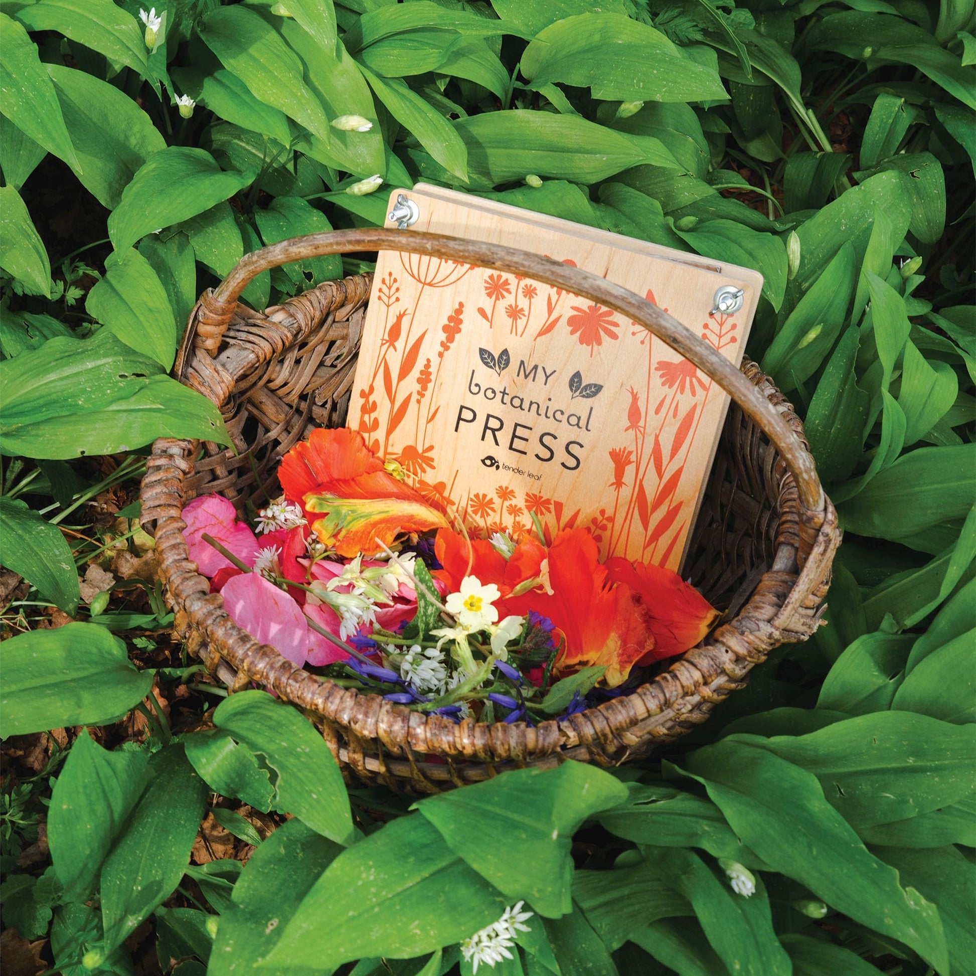 Tender Leaf Toys - My Botanical Press - 8.3 x 8.3 Inch 10 Layers Flower Press, DIY Dried and Preserved Flowers and Leaves, Plants Art & Crafts kit