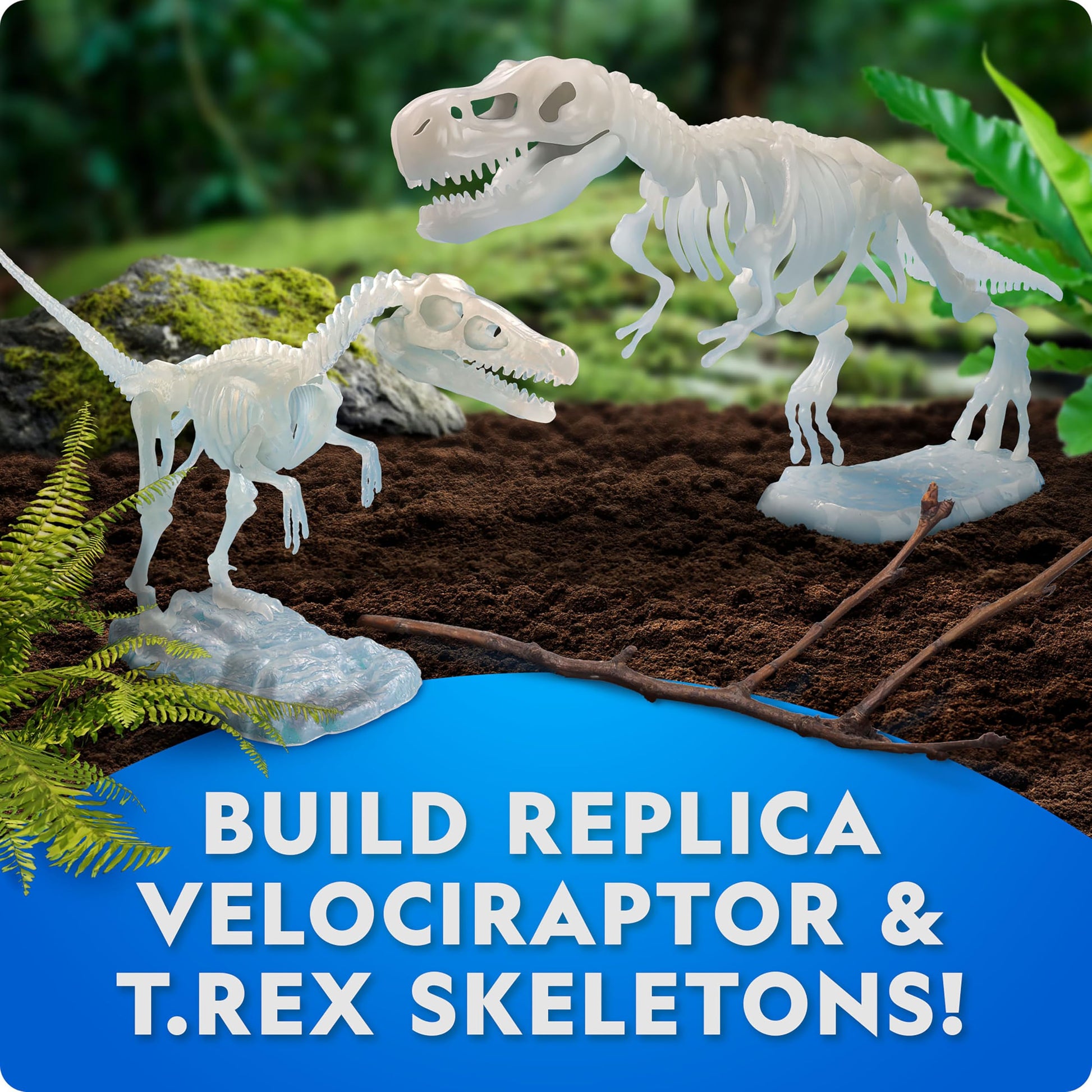 National Geographic Glow-in-the-Dark Dinosaur Skeleton Model Building Kit