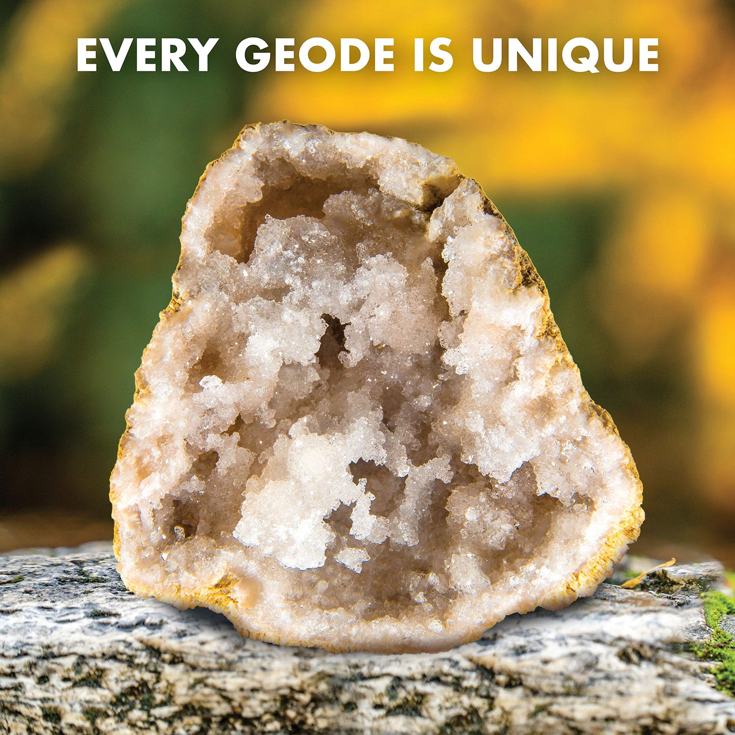 Blue Marble Break Open 2 Jumbo Geodes- Break Your Own Large Geode with Crystals, Earth Science Kit for Kids to Learn Geology, Gifts for Rock