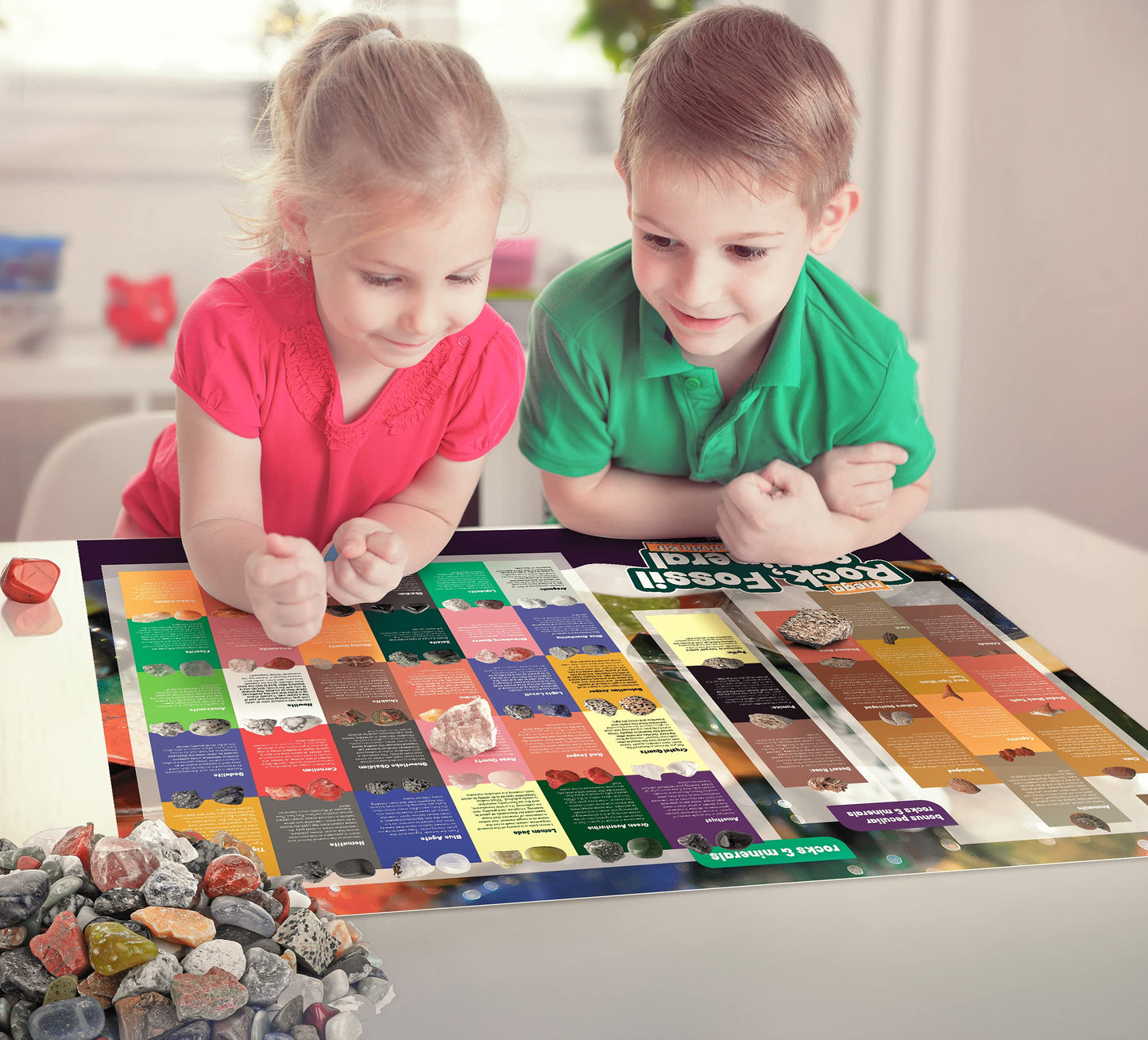 Dan&Darci Rock Collection for Kids - Includes 250+ Bulk Rocks, Gemstones & Crystals + Genuine Fossils and Minerals - 2 Lbs. - Geology Earth Science