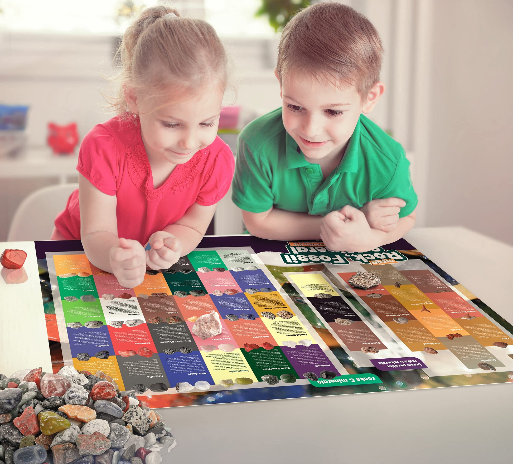 Dan&Darci Rock Collection for Kids - Includes 250+ Bulk Rocks, Gemstones & Crystals + Genuine Fossils and Minerals - 2 Lbs. - Geology Earth Science