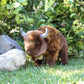 14" BISON - LARGE
