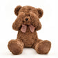 suepcuddly 20" Posed Teddy Bear Stuffed Animal Cute Plush Toy for Girl Kids (Dark Brown)