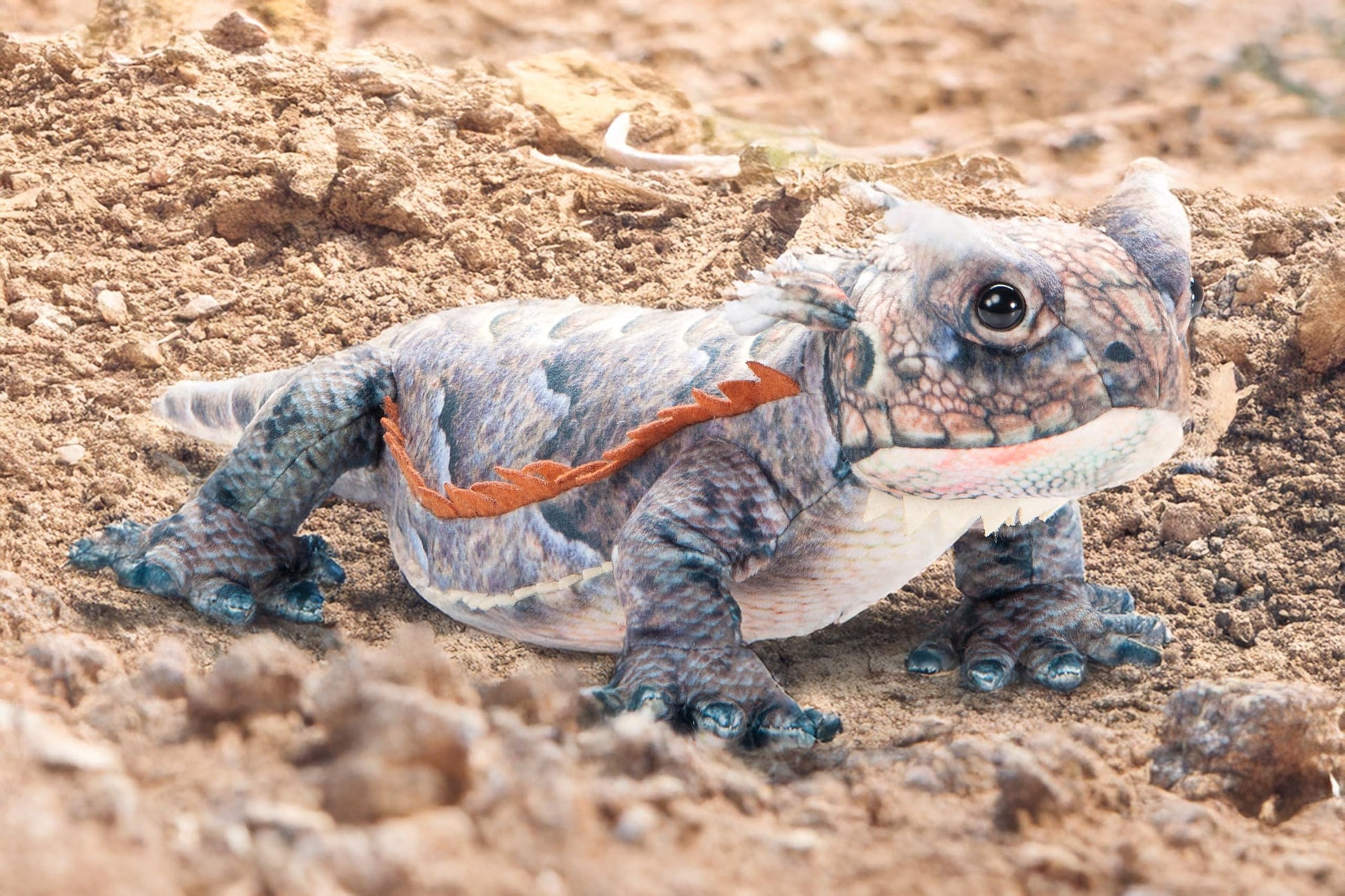 The Petting Zoo Horned Frog Lizard Stuffed Animal Plushie, Gifts for Kids, Wild Onez Reptile Animals, Lizard Plush Toy 20 Inches
