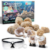 Discovery™ Mystery Crystal Geode Kit - Crack Open 10 Real Quartz Geodes| Includes Goggles, Magnifying Glass & Display Stands| Educational STEM Geology