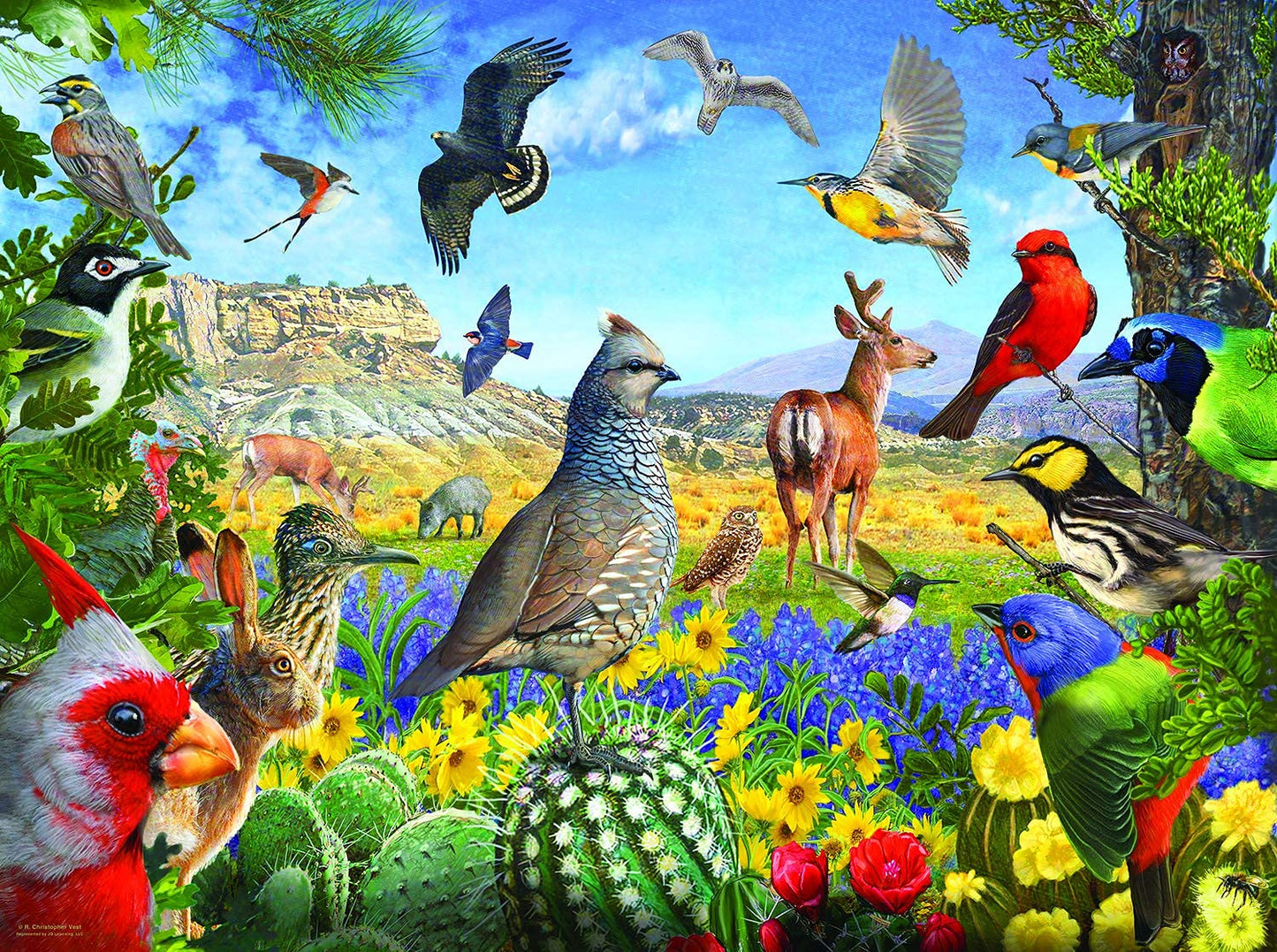 SUNSOUT INC - Texas Birds - 1000 pc Jigsaw Puzzle by Artist: R. Christopher Vest - Finished Size 20" x 27" - MPN# 70939