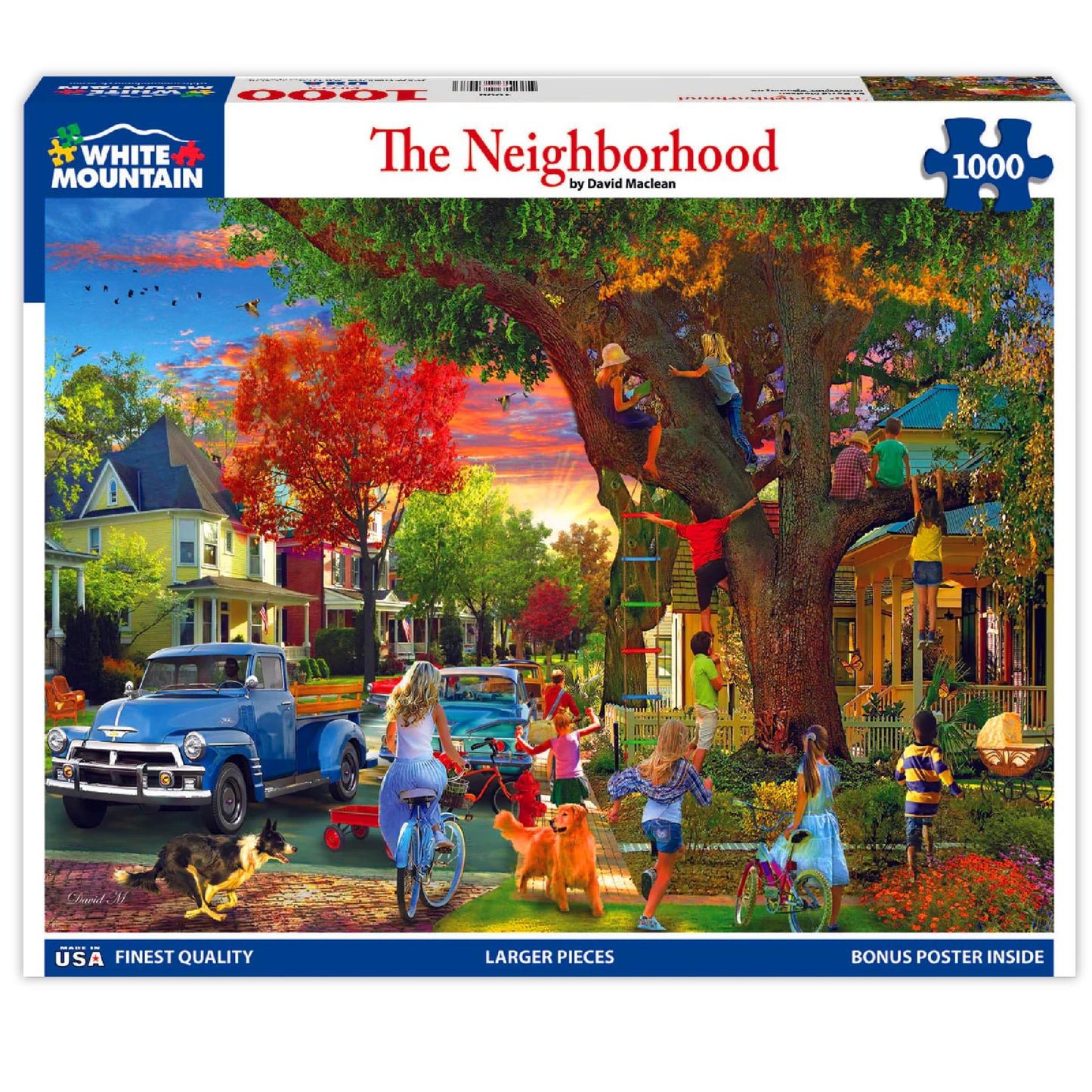 White Mountain 1000 Piece Jigsaw Puzzle Friendly Summer, The Neighborhood