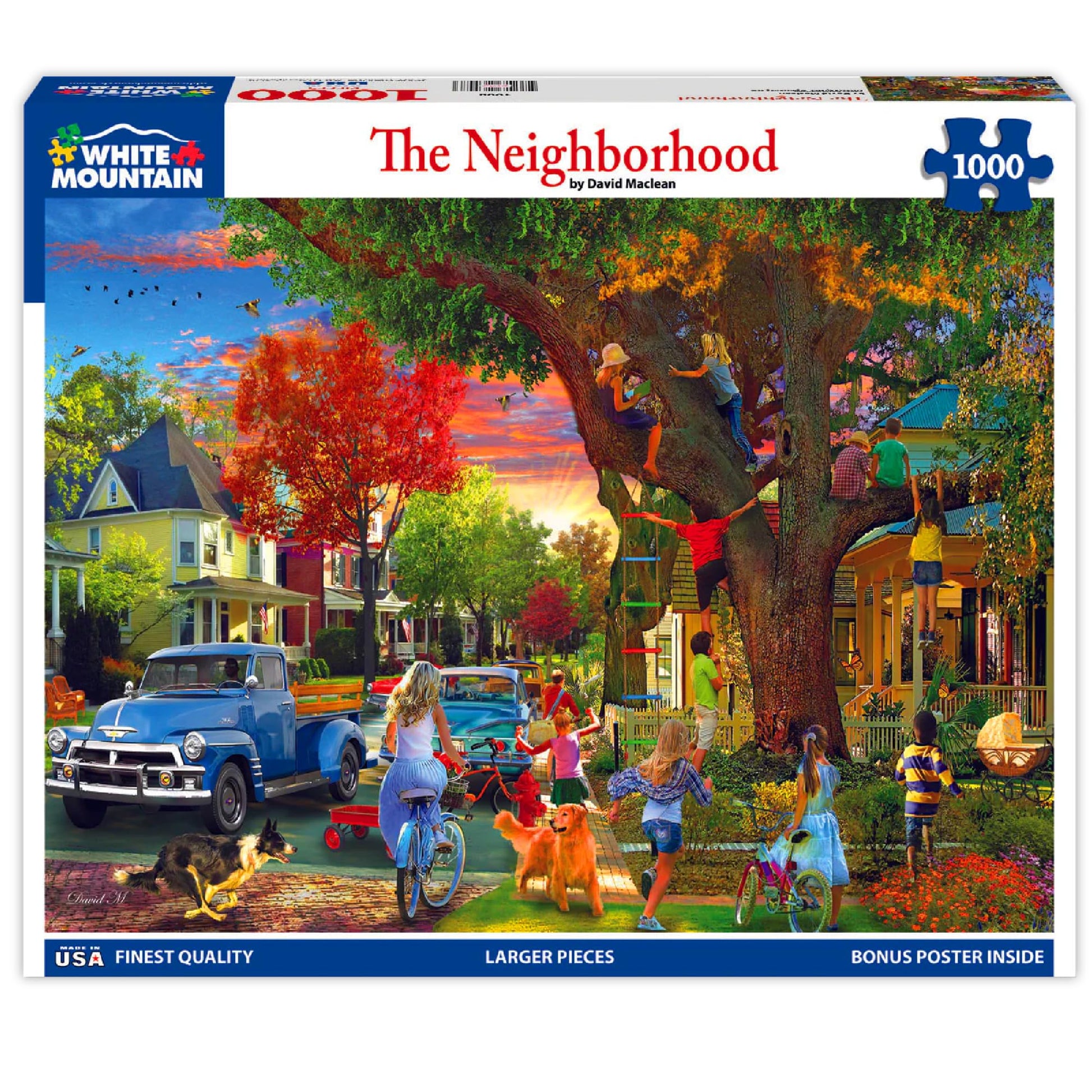 White Mountain 1000 Piece Jigsaw Puzzle Friendly Summer, The Neighborhood