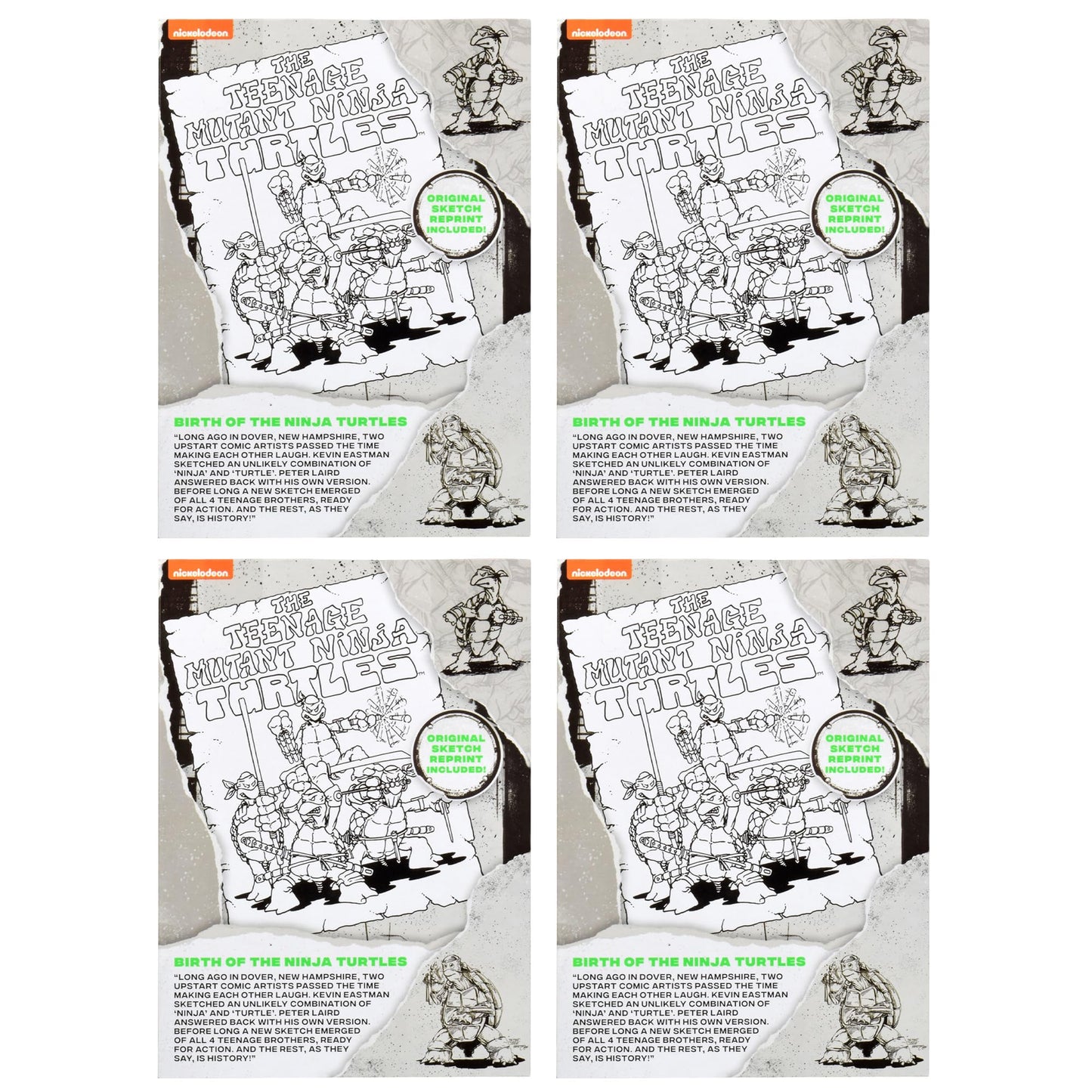 Teenage Mutant Ninja Turtles: Original Sketch Collector Figure with Comic Book by Playmates Toys