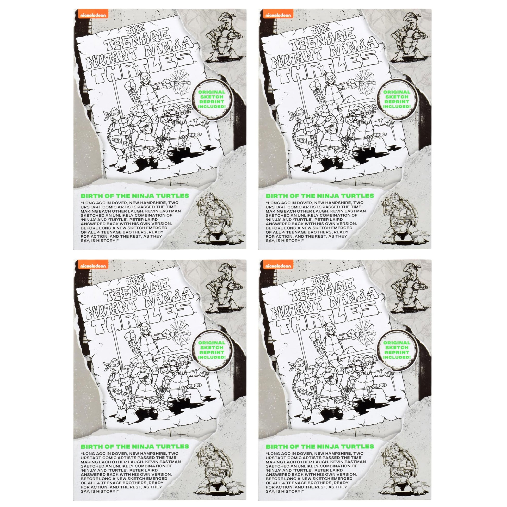 Teenage Mutant Ninja Turtles: Original Sketch Collector Figure with Comic Book by Playmates Toys