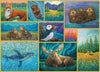 Cobble Hill 500 Piece Puzzle - Alaskan Animals - Sample Poster Included