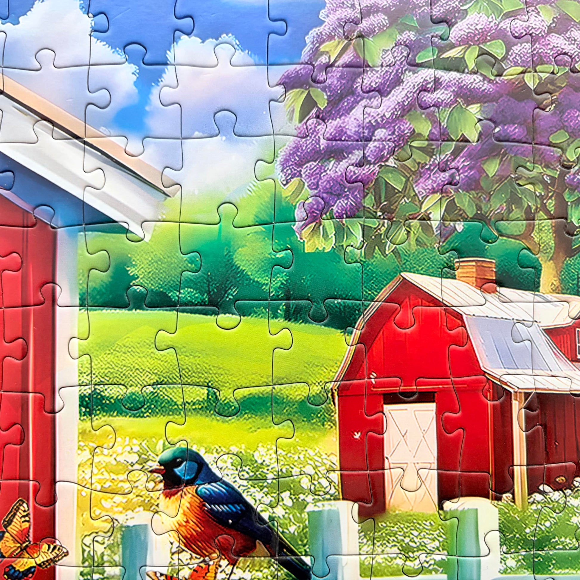 300 Piece Puzzles for Adults, Jigsaw Puzzles for Kids - Farm Garden Cottage