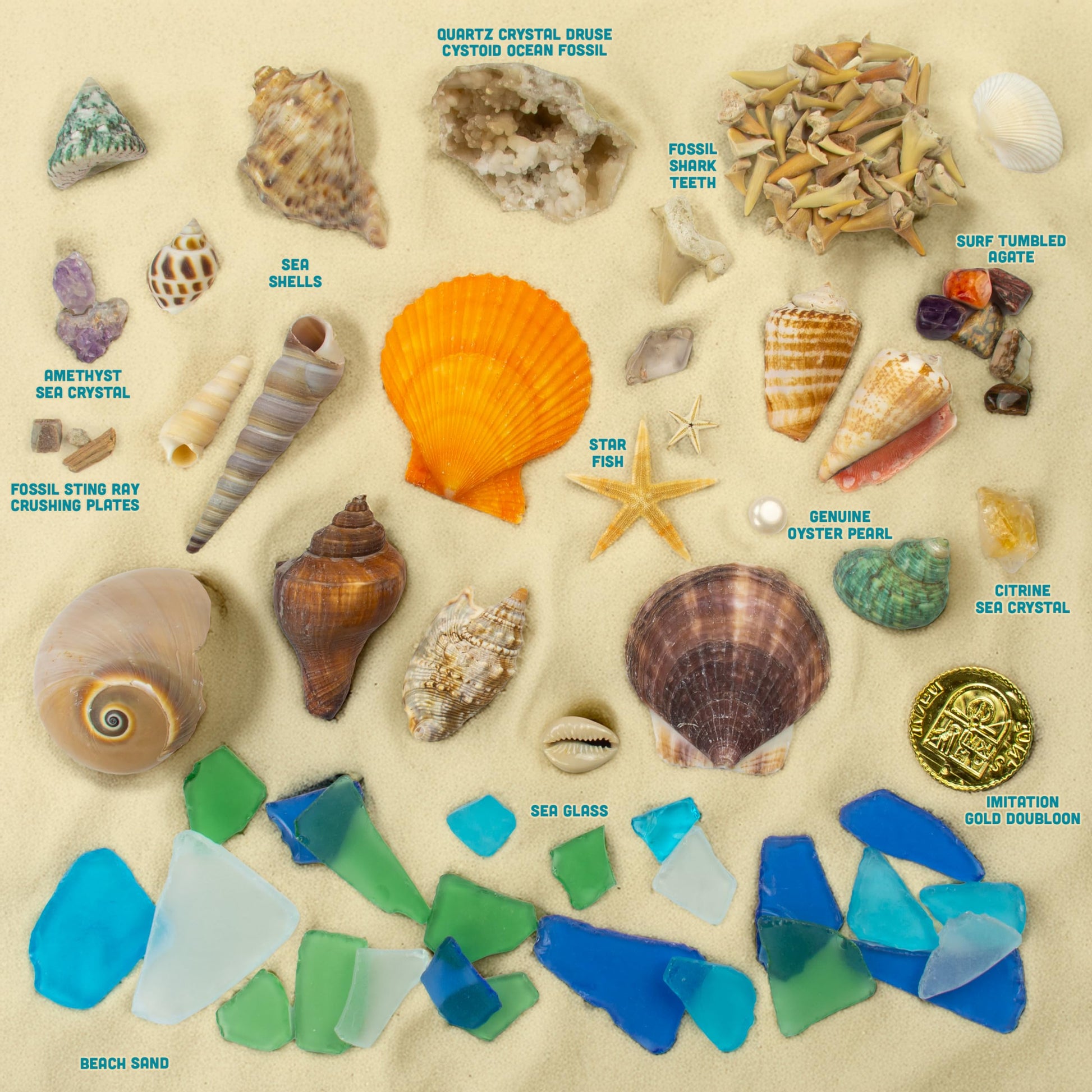 Beachcomber Treasure Hunt - Beach Paydirt with Shells, Sea Glass, Pearl, Fossils & Crystals