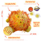 Celestial Buddies Sun Buddy | 12" Soft Stuffed Plush, Embroidered Features, Fun Planet Facts Tag for Kids - STEM Learning, Educational Gift, Classroom