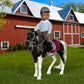 Lori - Mini Boy Doll & Toy Horse - 6-Inch Doll & Black Pinto Horse - Set with Clothes, Animal & Accessories - Playset for Kids - 3+ Years- Landon &