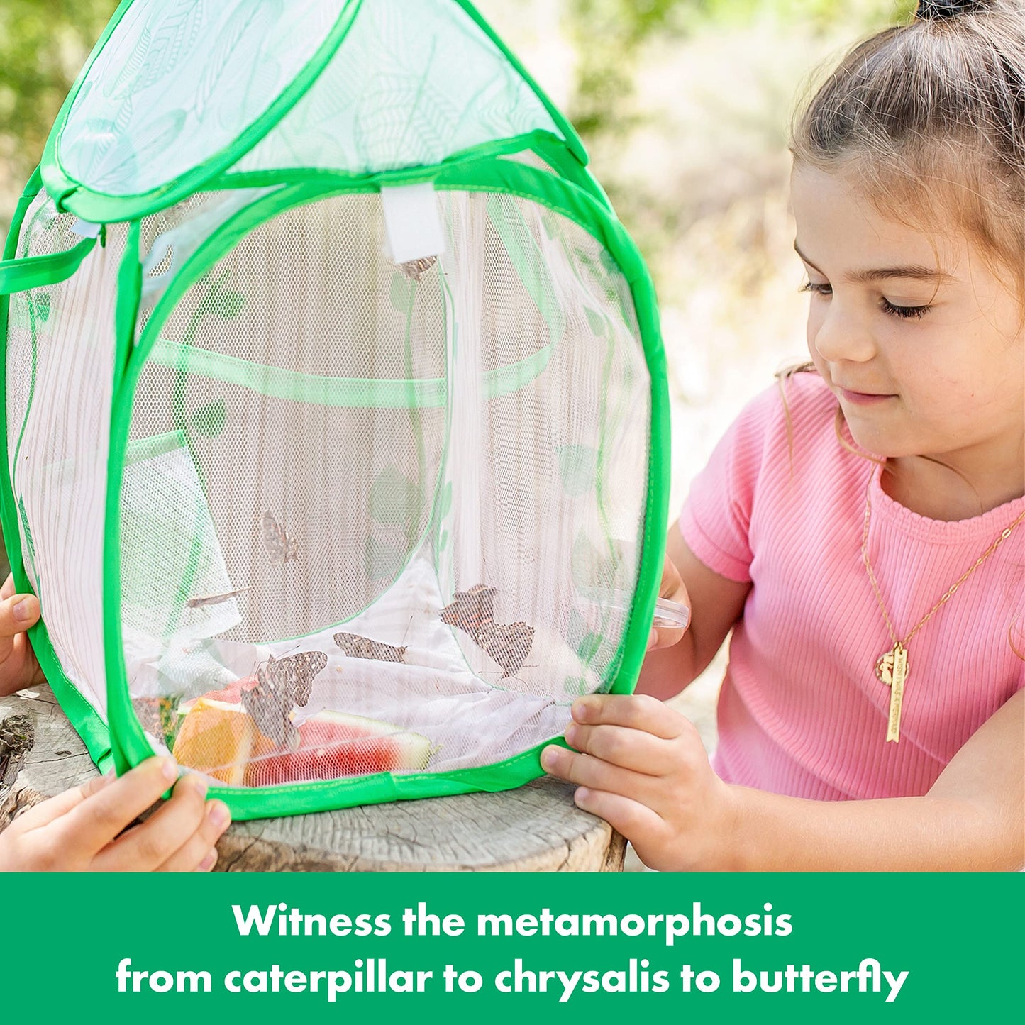 Educational Insights GeoSafari Jr. Butterfly Bungalow, Science Kit with Live Caterpillars, Home & Classroom Insect Habitat, Raise & Release Your Own