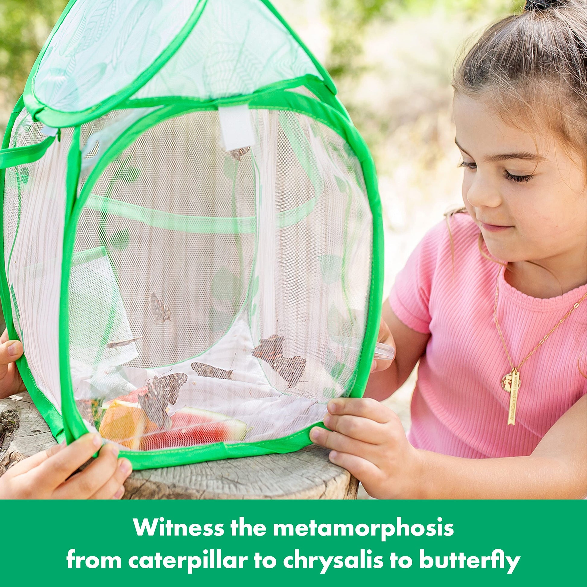 Educational Insights GeoSafari Jr. Butterfly Bungalow, Science Kit with Live Caterpillars, Home & Classroom Insect Habitat, Raise & Release Your Own