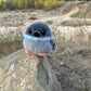 Pigeon Bird Plush with Weighted Fidget Beads. Stress Ball Rock Dove