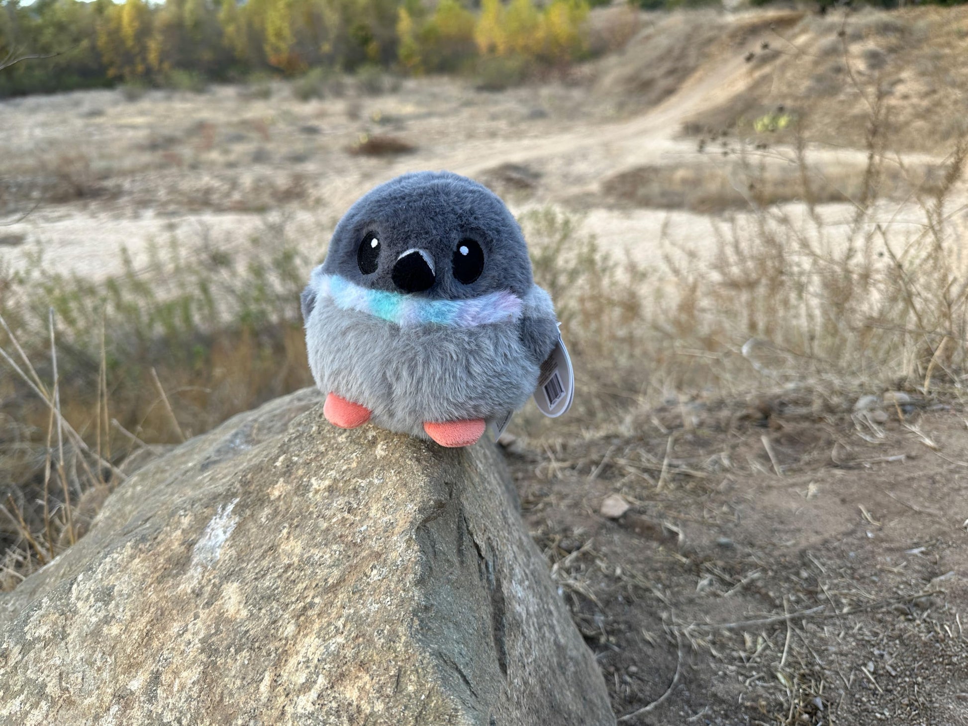 Pigeon Bird Plush with Weighted Fidget Beads. Stress Ball Rock Dove
