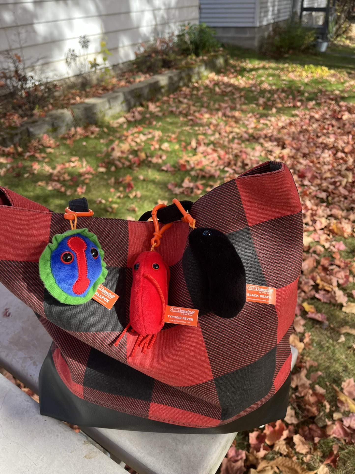 GIANT MICROBES Plagues from History Themed Box, History Teacher Gifts, Gifts for Science Lovers, Public Health, Gift for History Buff, Black Plague
