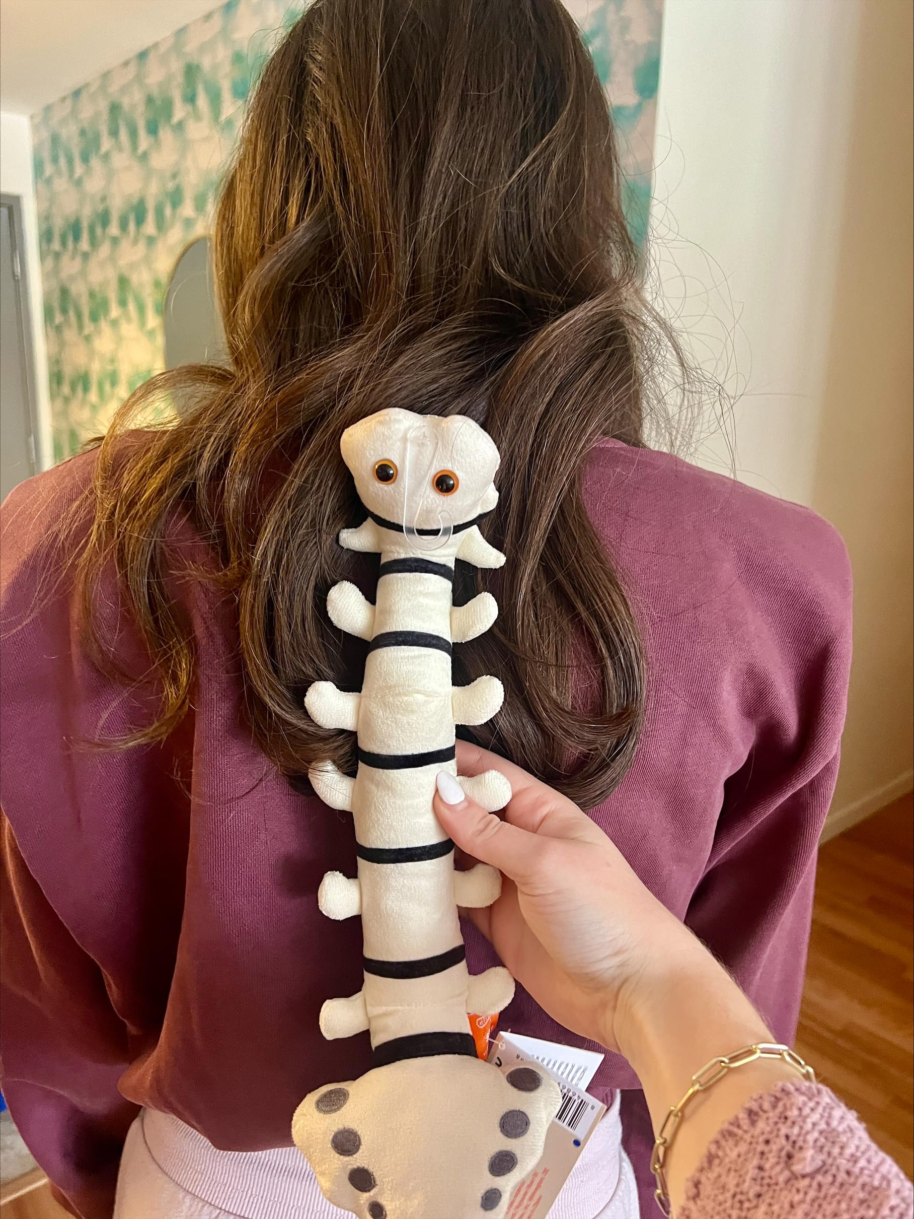 GIANT MICROBES Spine Plush, Spine Surgeon, Back Surgery Recovery, Anatomy Model, Neurology Gifts, Funny Chiropractor Gift, Neurosurgery Gifts, Back