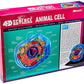Famemaster 4D-Science Animal Cell Anatomy Model Coral, Black, Mint Green, Beige, Gold, Rose Gold