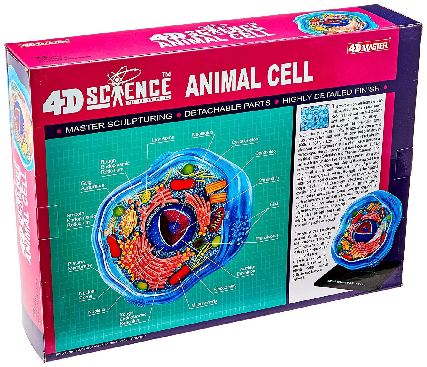 Famemaster 4D-Science Animal Cell Anatomy Model Coral, Black, Mint Green, Beige, Gold, Rose Gold
