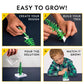 National Geographic Crystal Growing Craft Kit to Create a Crystal Garden