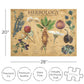 AQUARIUS Harry Potter Herbology Poster 1000 Piece Jigsaw Puzzle