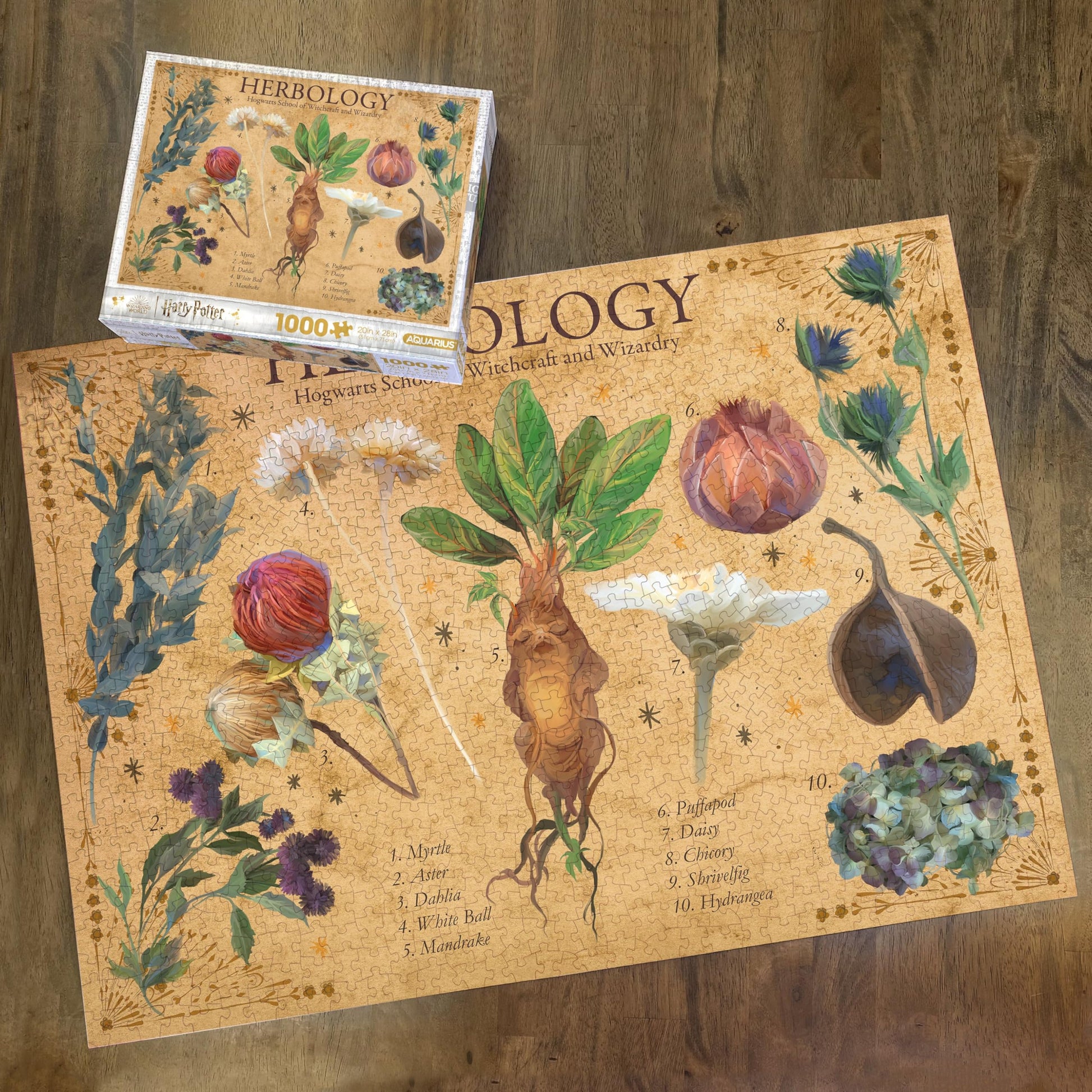 AQUARIUS Harry Potter Herbology Poster 1000 Piece Jigsaw Puzzle