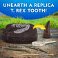NATIONAL GEOGRAPHIC Dino Fossil Dig Kit & Dinosaur Book for Kids- Excavate a Replica Dinosaur Tooth Fossil and Study Paleontology with a Full-Color