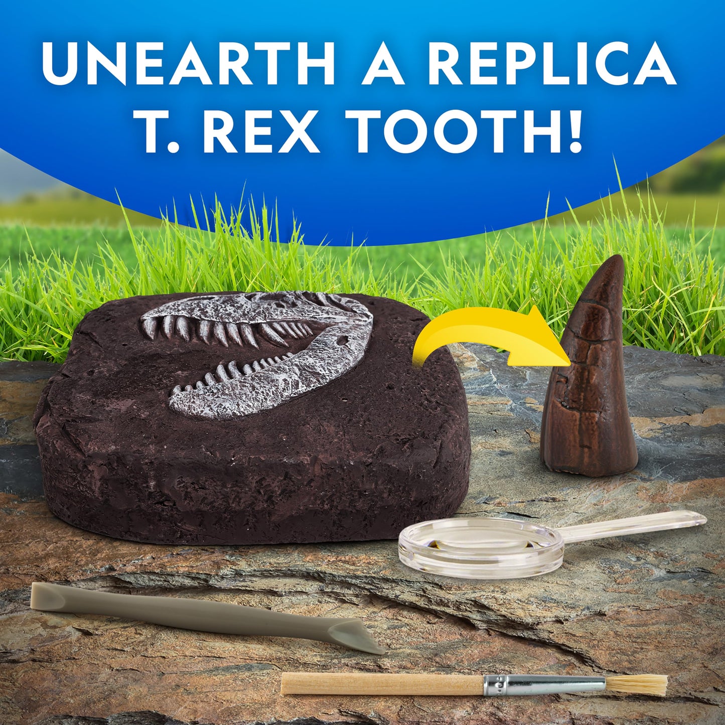 NATIONAL GEOGRAPHIC Dino Fossil Dig Kit & Dinosaur Book for Kids- Excavate a Replica Dinosaur Tooth Fossil and Study Paleontology with a Full-Color