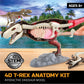 Discovery™ 4D T-Rex Anatomy Kit, Jurassic Dinosaur Puzzle Figure, Interactive Archaeology & Paleontology Model, Learn Science & Biology, Fun