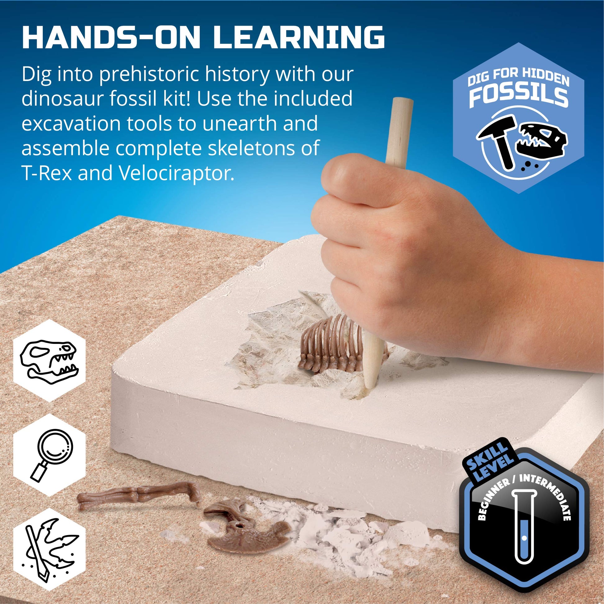 Discovery™ Dinosaur Fossil Dig Kit - Excavate & Assemble T-Rex & Velociraptor Skeletons| 3D Dino Bones Puzzles| Jurassic Paleontology Toy for Kids|