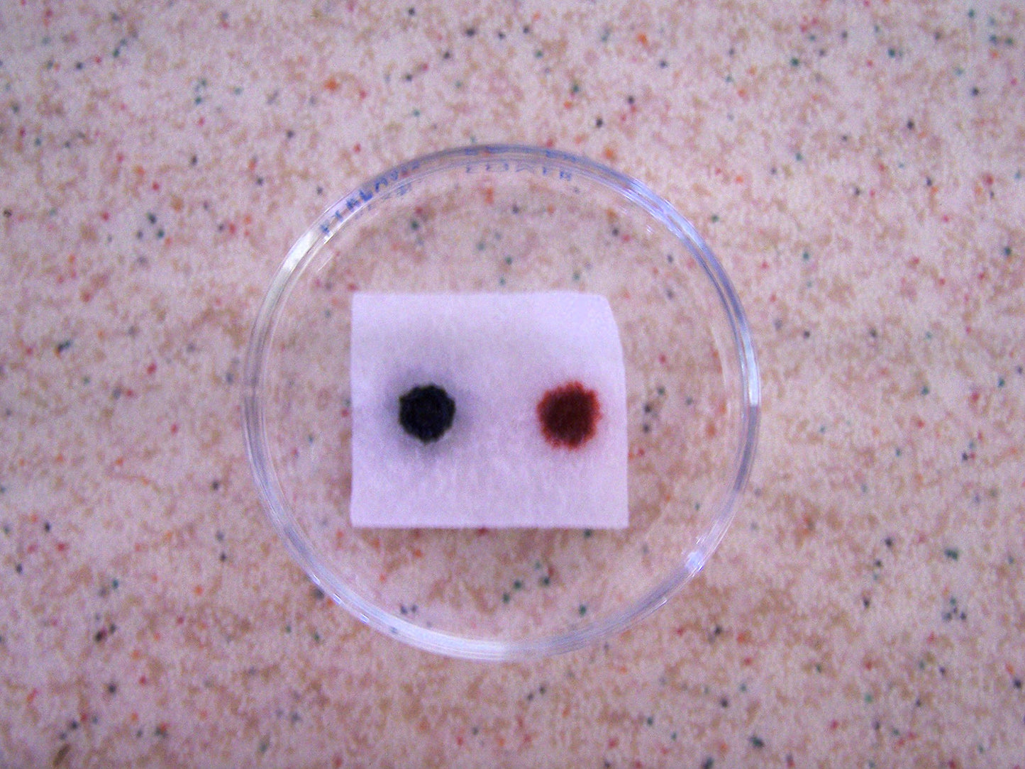 ALDON Innovating Science Forensic Chemistry: Gun Shot Residue Presumptive Test Kit - Materials for 30 Tests