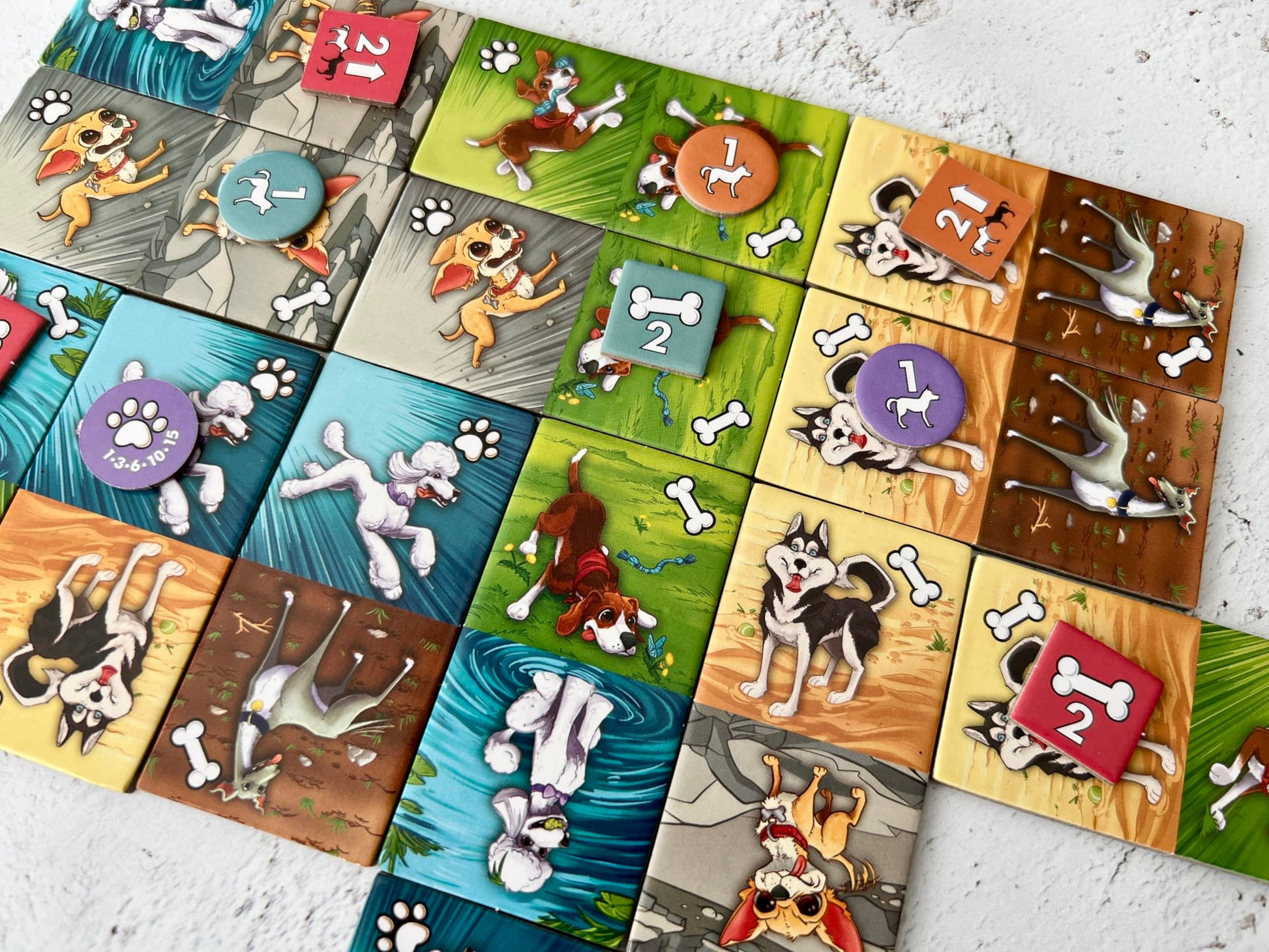 Fireside Games Zoomies - Fast-Paced Dog Walking Family Card Board Game Fun for All Ages Quick Play 2 to 4 Players Ages 10+