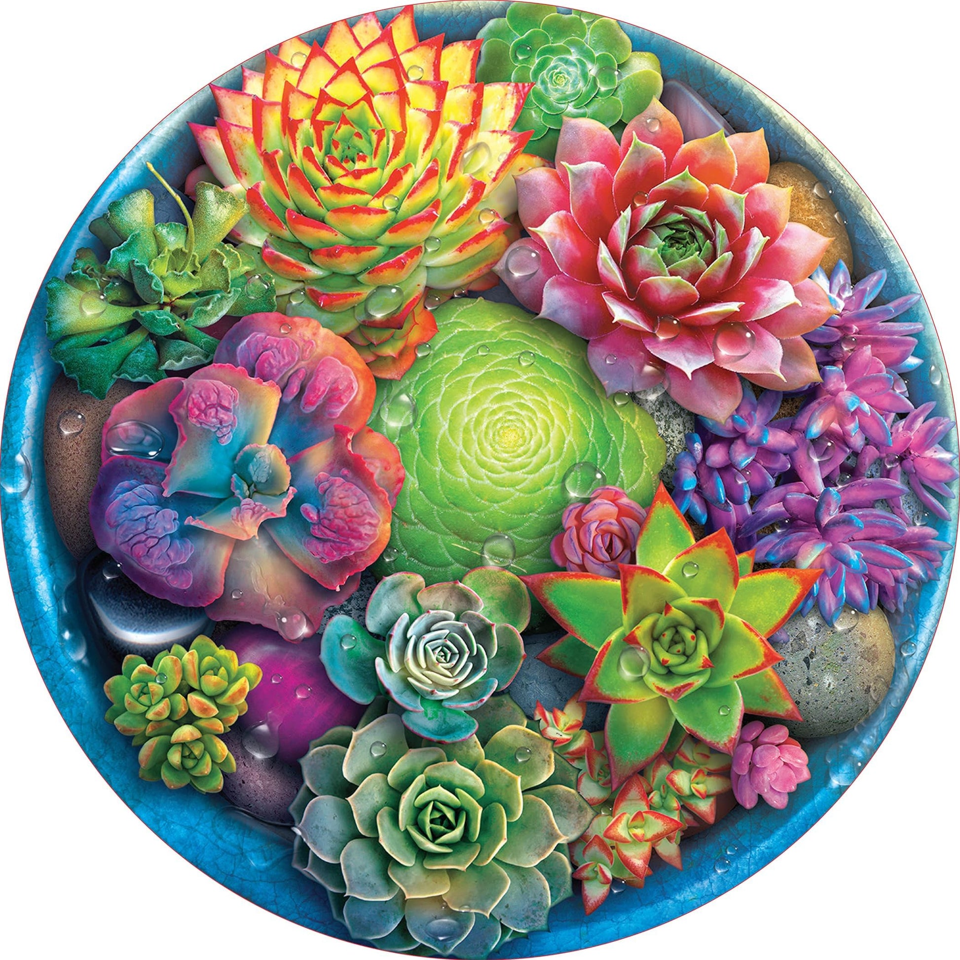 Ceaco - A Circle of Succulents - 500 Piece Jigsaw Puzzle for Adults
