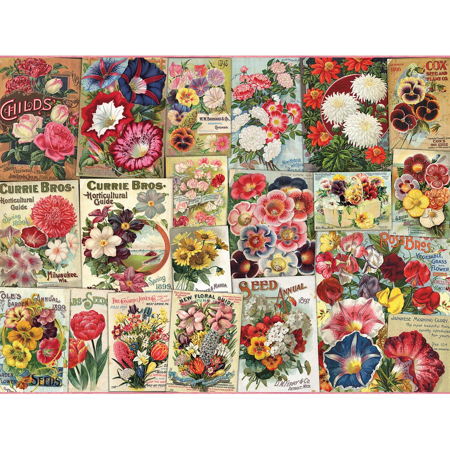 Bits and Pieces 1000 Piece Puzzles for Adults - Seed and Bulbs - - Large 20" x 27" Jigsaw Puzzles 1000 Pieces Vintage Flower Seed Collage, No 2 Pieces