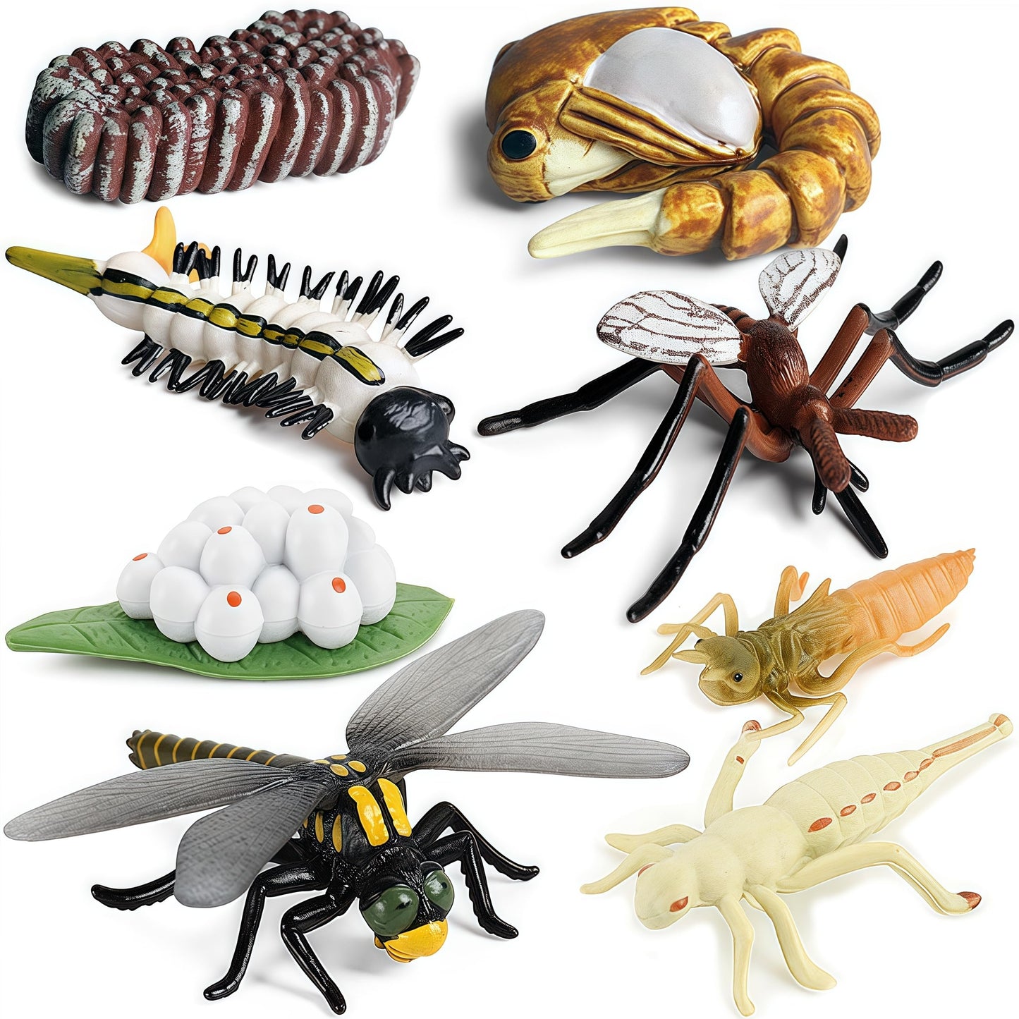 Gemini & Genius Life Cycle of Mosquito and Dragonfly Figurines, Insect Growth Diary Action Figures, Super Fun for Learning Gifts, Party Favors