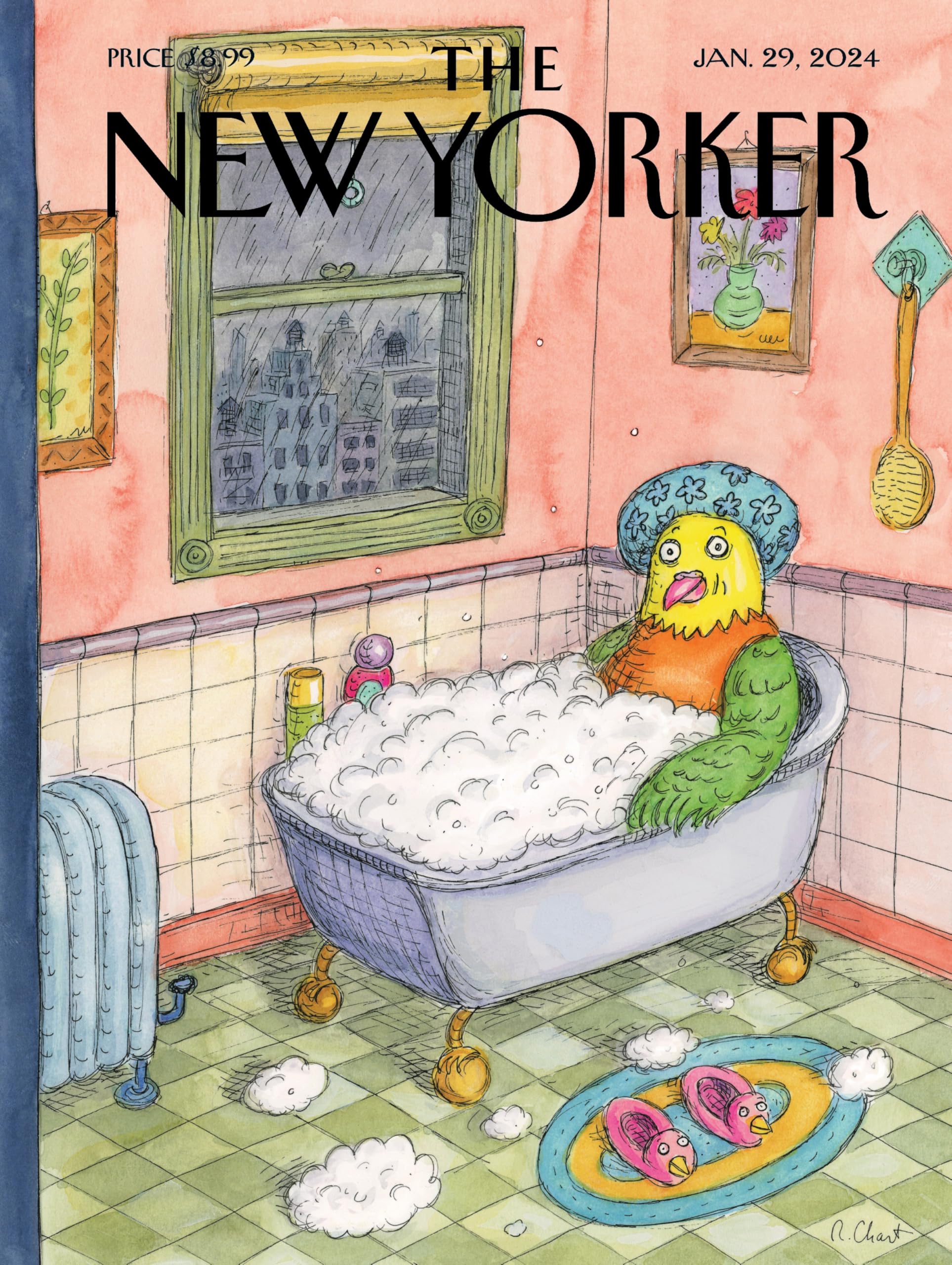 New York Puzzle Company - New Yorker Bird Bath - 500 Piece Jigsaw Puzzle for Adults by Roz Chast