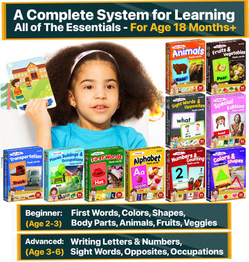 Flash Cards for Toddlers 2-4 Years - Jumbo Learning Box Set with Real Pictures - Alphabet Number Emotions Animal Sight Words Color Shapes - Toddler