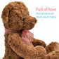 suepcuddly 20" Posed Teddy Bear Stuffed Animal Cute Plush Toy for Girl Kids (Dark Brown)