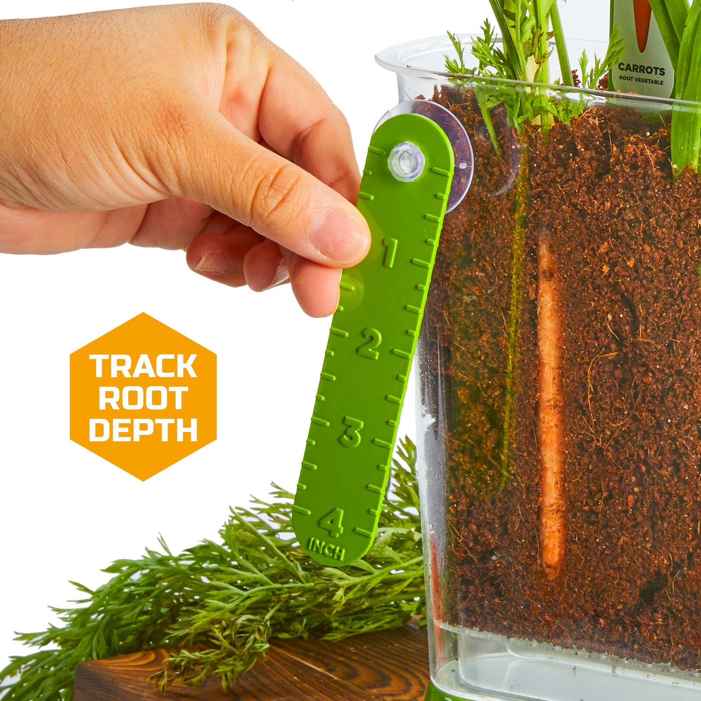 Discovery™ Edible Veggie Garden Watch-It-Grow Kit - DIY STEM Activity for Kids | Grow Carrots, Radishes & Onions| 11-Piece Science Kit with Seeds