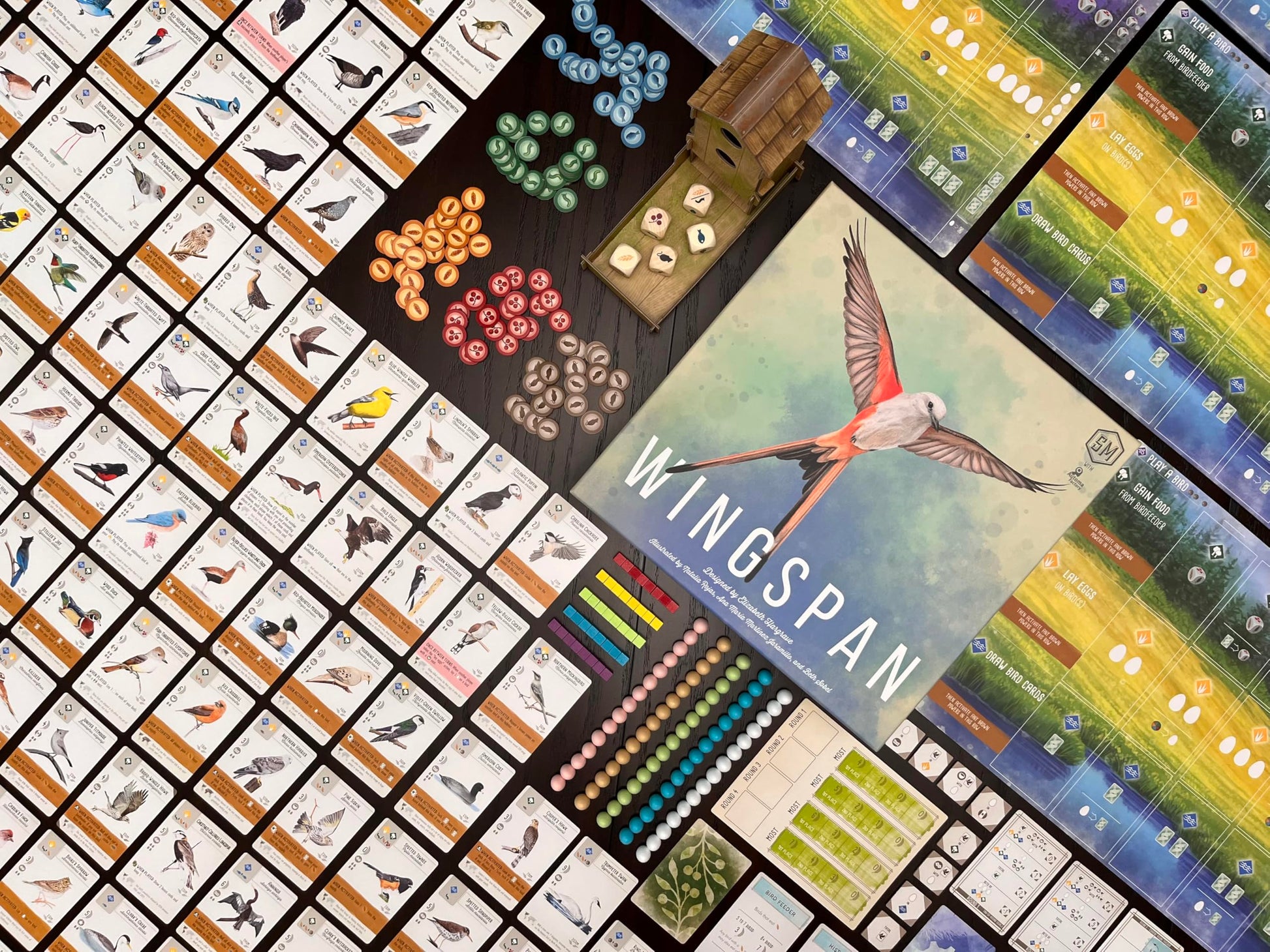 Stonemaier Games: Wingspan (Base Game) by Elizabeth Hargrave | A Relaxing, Award-Winning Strategy Board Game About Collecting Birds for Adults