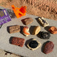 Safari Ltd. Ancient Fossils TOOB - Figurines: Dino Footprint, Giant Crab, Ammonite, Raptor Claw, T-Rex Tooth, Frog Skeleton, Sea Scorpion & More