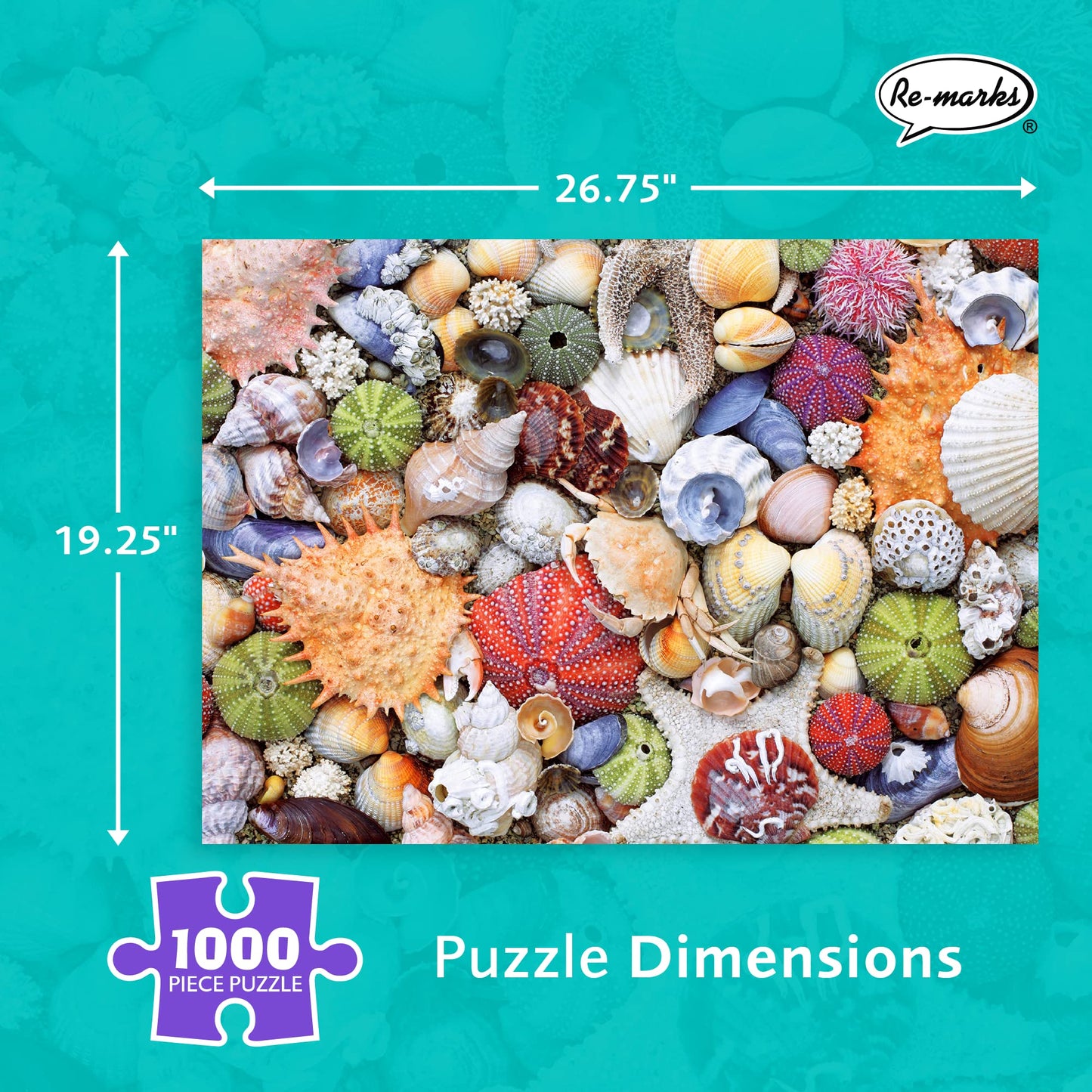Re-marks Seashore Puzzle 1000-Piece Seashell Puzzle, Artistic Jigsaw Puzzle for All Ages - Made in USA