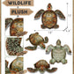 DolliBu Sea Turtle Stuffed Animal - Huggable Turtle Plush, Adorable Playtime Sea Turtle Plush Toy, Cute Sea Life Animal Cuddle Gifts, Super Soft Plush