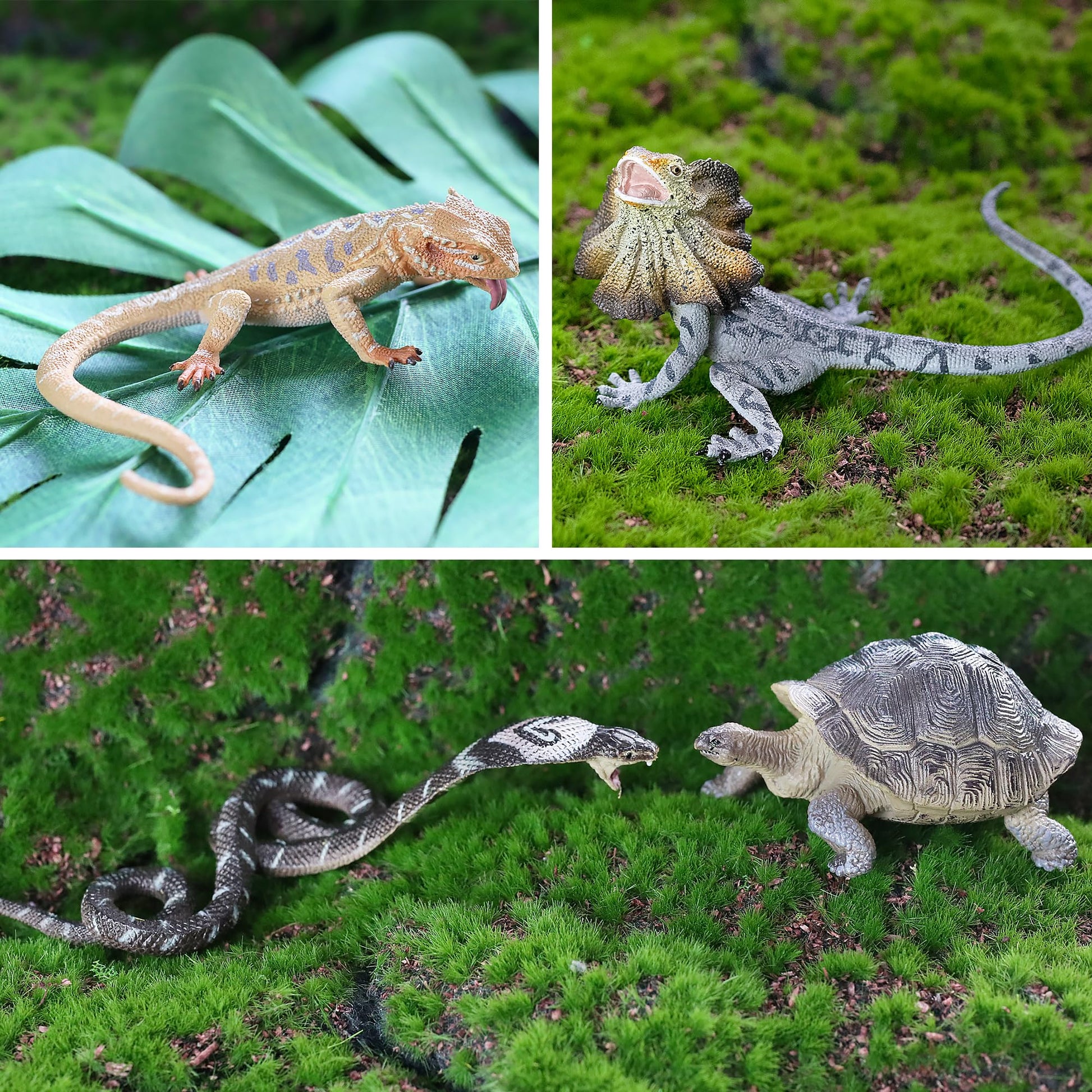 Toymany Reptile Animal Figurine Toys Set, 12 PCS Halloween Desert Amphibians Animal Figures with Komodo Dragon Lizard Snake Chameleon Rainforest Cold
