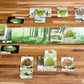 Lookout Games Forest Shuffle Card Game - Create an Ecological Paradise! Clever Strategy Game for Kids & Adults, Ages 10+, 2-5 Players, 60 Min